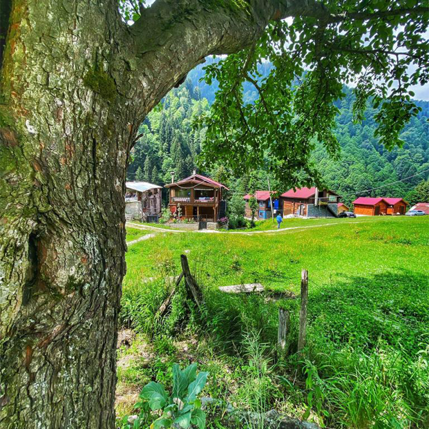 Filtresiz Güzellikleri Yaşayın